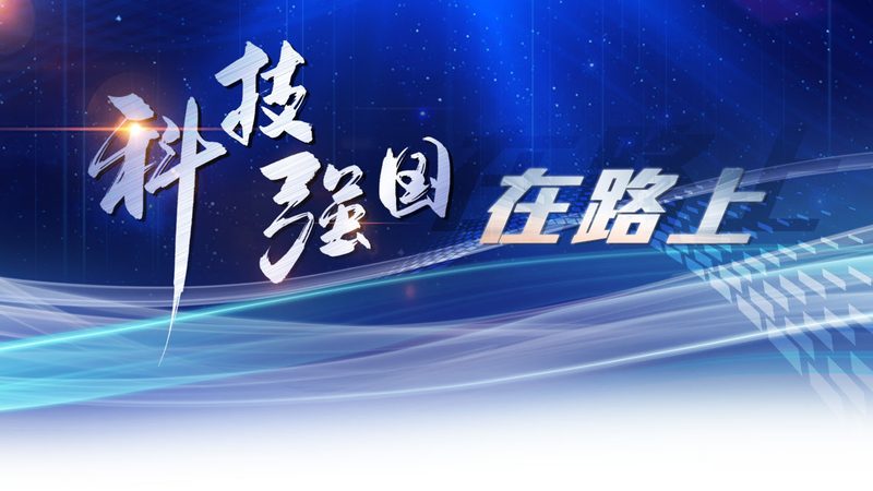 低代码平台如何助力上海公司快速构建应用？**
