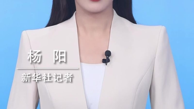 财务人员如何高效利用数据可视化工具